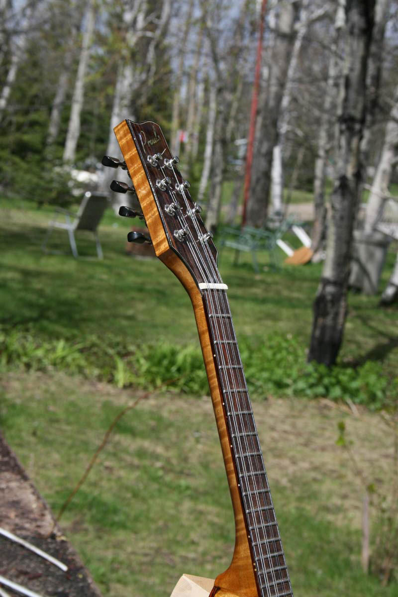 to Proulx Guitars & Mandolins!